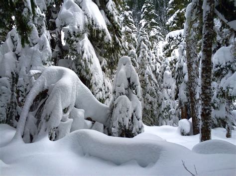 scenic Snow Adventures Around Lewis County Snow returning to Lewis ...