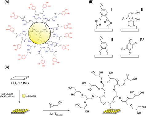 A) A schematic representation of the molecular structure of MI‐dPG. The... | Download Scientific ...