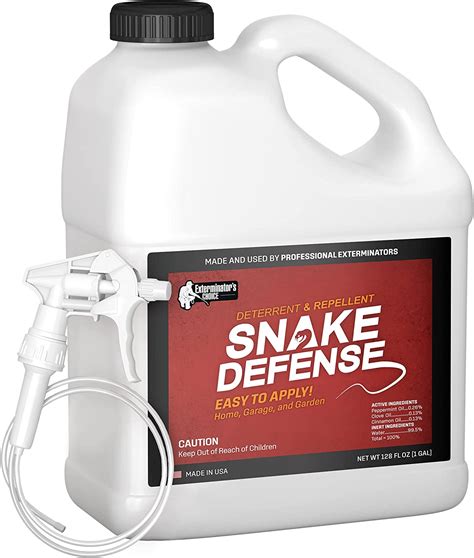 Pest Control For Snakes - PestPhobia