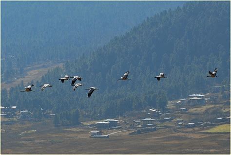 Cultural Tour | Bhutan Best Travel