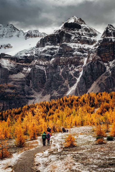 12 hikes in the Canadian Rockies to fulfill your wanderlust (Young ...