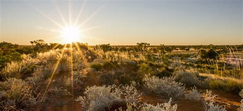 The Nature Conservancy in Australia