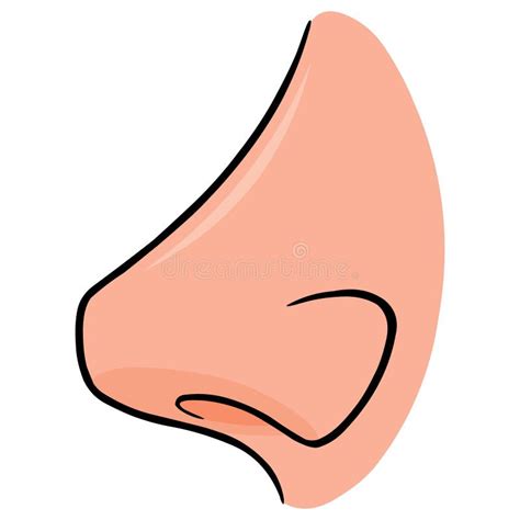 Nose Side View stock vector. Illustration of icons, sinus - 72947642