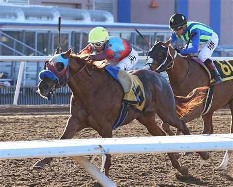 Meet the Contenders: 2023 Santa Anita Derby | TwinSpires