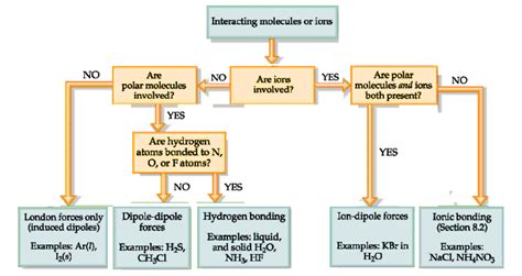 [Solved] A concept map for four types of intermolecular forces and a ...