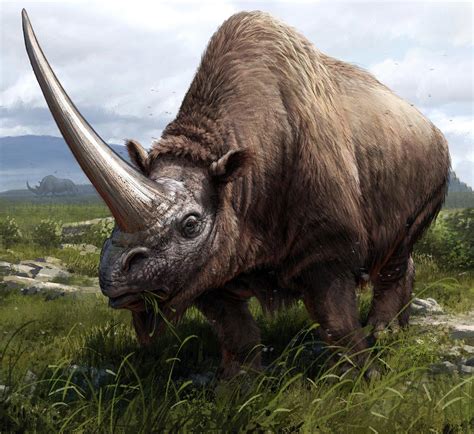 Prehistoric rhinoceros species - Flexpages