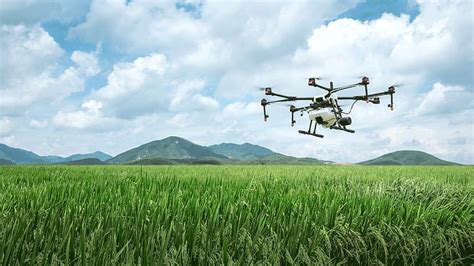 Aerial spraying of insecticides is being done by drones in Rajasthan - Sectors - Manufacturing ...