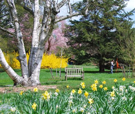 Spend your spring at Morris Arboretum – Metro Philadelphia