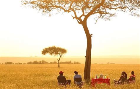 Sarova Mara - 2024 Packages - Rates - Contacts for Booking