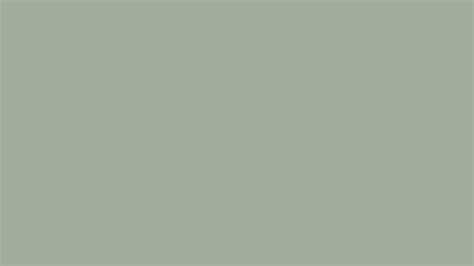 Pantone 16-0110 Tpg Desert Sage Color | Hex color Code #a3ac9b ...