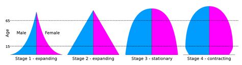 Constructive Population Pyramid