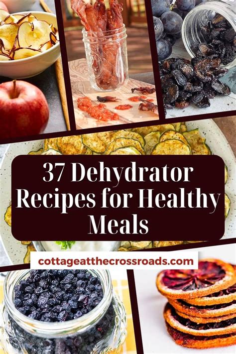 37 Dehydrator Recipes for Healthy Snacks - Cottage at the Crossroads