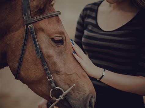 How to Treat Founder Disease in Horses