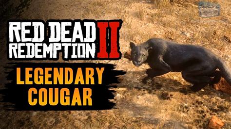 Red Dead Redemption 2. Legendary Cougar. Location #rdr2 #legendary ...