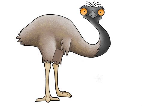 Cartoon Emu Clipart - pic-nugget