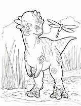 Gallimimus Coloring Pages sketch template