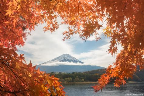 Japan in red: autumn leaves photo tour, 10 – 18 November, 19 – 27 November 2020 | Daniel Kordan