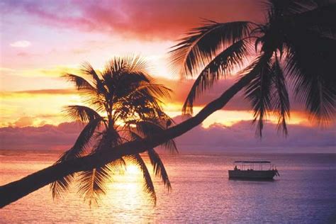 Take a sunset cruise. Shangri La Fiji, Fiji Holiday, Travel To Fiji ...