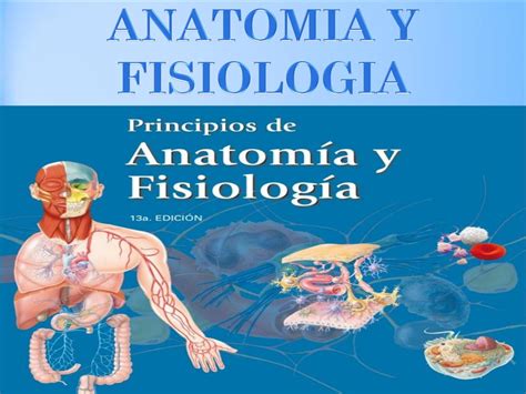 ANATOMIA Y FISIOLOGIA HUMANA by perezferin28 - Issuu