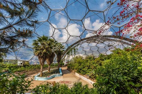 Eden Project | Eden project, Biomes, Austell