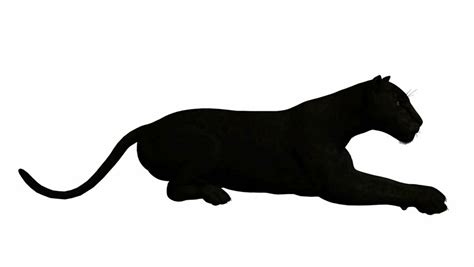 Panther Silhouette Clip Art