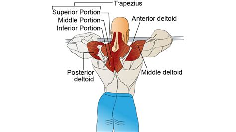 3 Shoulder Workout Exercises to Swap for the Barbell Upright Row ...