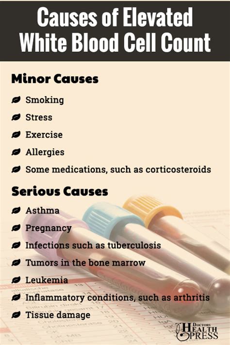 What are the Causes of Elevated White Blood Cell Count?