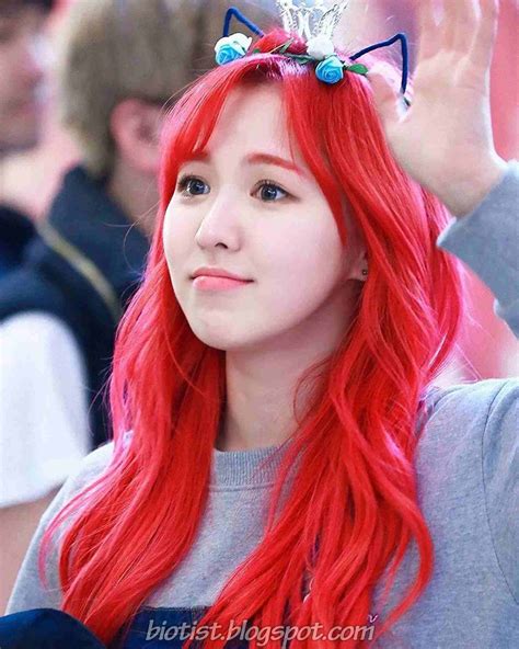 Wendy (Red Velvet) Profile, Photos, Fact, Bio and More - Biotist