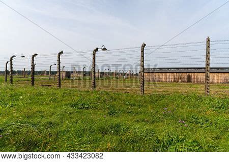 Barbed Wire Fences Image & Photo (Free Trial) | Bigstock