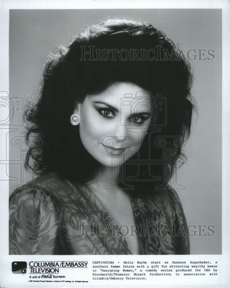 1990 Press Photo Delta Burke Stars as Suzanne Sugarbaker in Designing ...