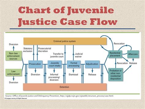 Juvenile Justice System Flow Chart