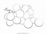 Coloring Page Of Grapes At Michael Schiller Blog sketch template