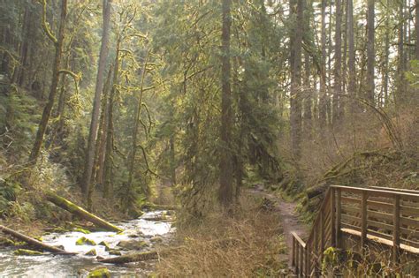 Hike to the Extraordinary Waterfalls of McDowell Creek Falls County Park — Pines and Vines