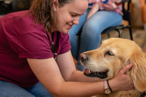 Pet therapy provides stress relief during finals week | The Daily Illini