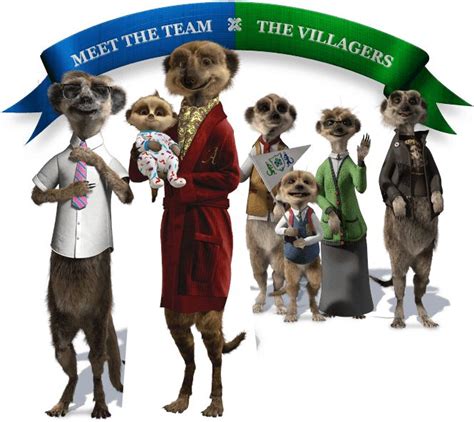 Comparethemarket - Meet the Meerkats | Meerkat, Meet, Meet the team