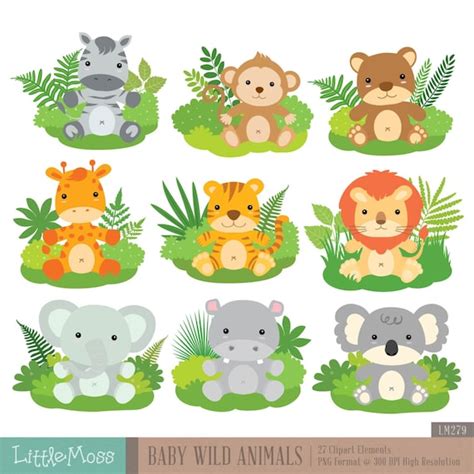 Baby Wild Animals Digital Clipart | Etsy