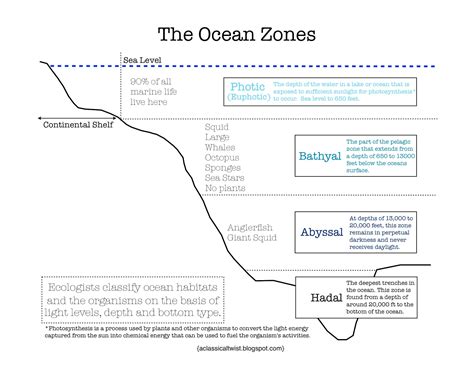 Printable Ocean Zones Worksheet