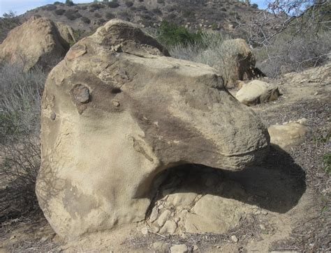 Iverson Movie Ranch: Dinosaur-related news: A rock that looks like a trachodon