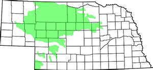 Sandhills | Nebraska Education on Location