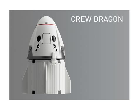 Spacex Crew Dragon or Dragon 1 in Orbit Model Kits - Etsy