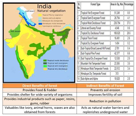 Explain briefly about the forest resources in India with the ...