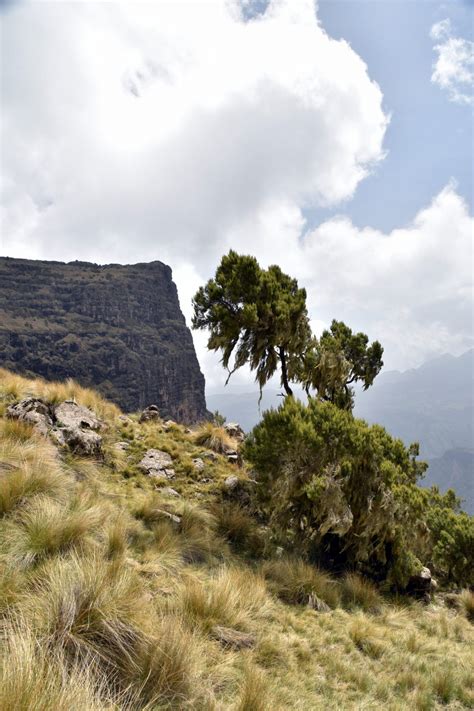 How to climb Ras Dashen - Ethiopia's highest peak | mountain paths