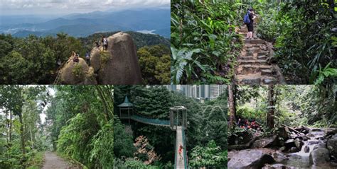 Part 2: Scenic Trails Near KL To Lure Hiking Enthusiasts - Varnam Malaysia