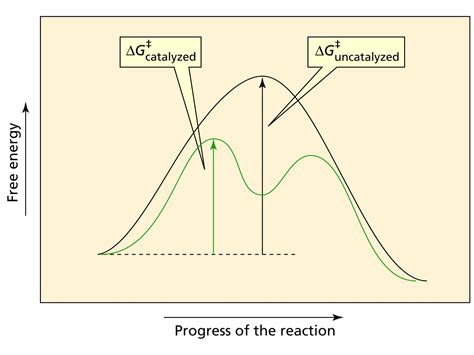 Reaction Coordinate Diagram - exatin.info