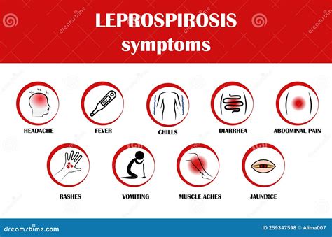 Leptospirosis Symptoms, Vector Illustration with Simply Icon of Symptoms Stock Vector ...