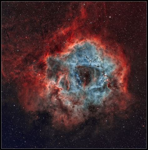 Image result for color palette universe space | Nebula, Rosette nebula, Space photography