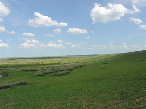 The Opening of the Eurasian Steppe | by Oxford Academic | History Uncut ...