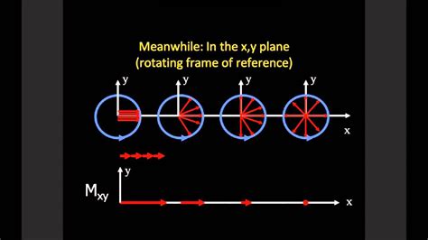 Basic MRI Physics