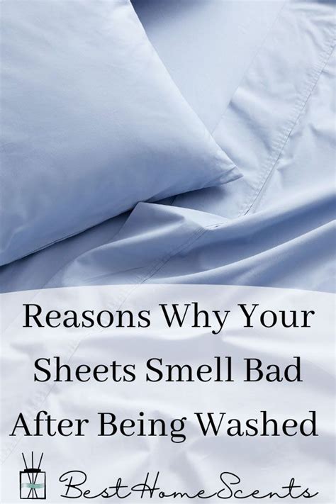 Why Sheets Don't Smell Fresh After Washing & What To Do | Sheets, Smell fresh, Smelling