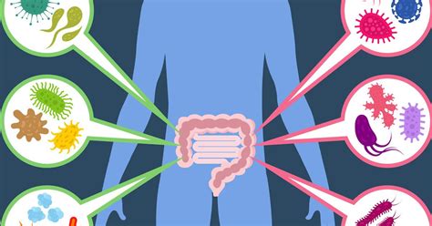 Symptoms of gut flora imbalance